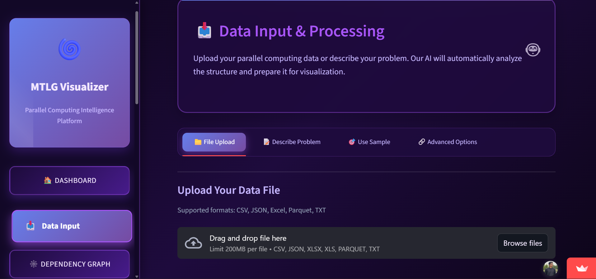 MTLG Data Input & Processing